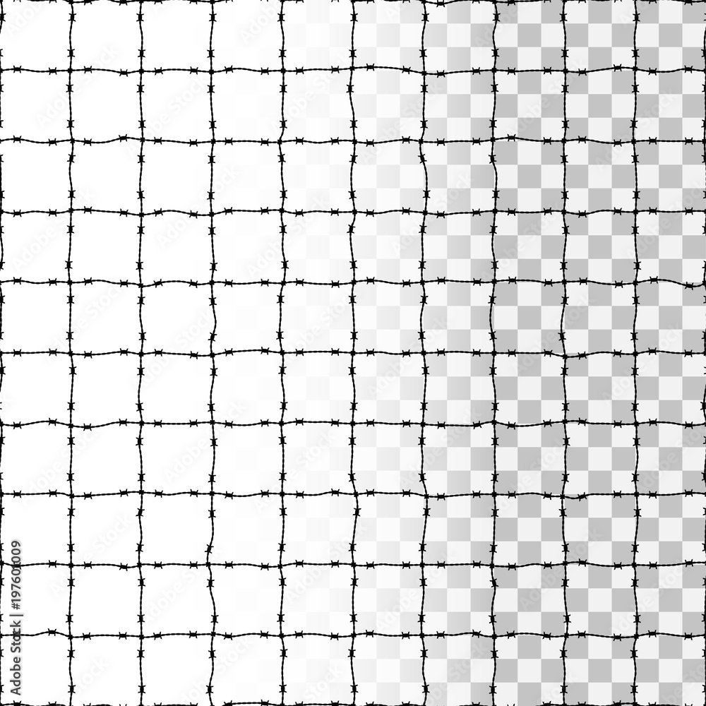Barbed wire net silhouette as a transparent seamless pattern, vector illustration for various human rights, global social issues, commemoration projects and designs Barbed wire net silhouette as a transparent seamless pattern, vector illustration for various human rights, global social issues, commemoration projects and designs