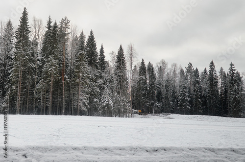 Russia. Karelia. Karelian forests in winter. Trees in the snow. © sergeyphoto7