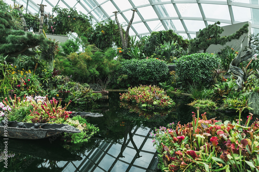 SINGAPORE - JAN 19, 2016: view of various green plants arranged in greenhouse SINGAPORE - JAN 19, 2016: view of various green plants arranged in greenhouse