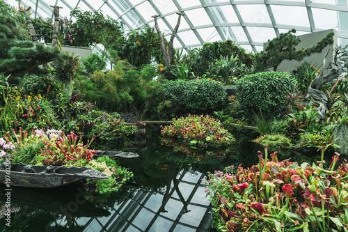 SINGAPORE - JAN 19  2016  view of various green plants arranged in greenhouse