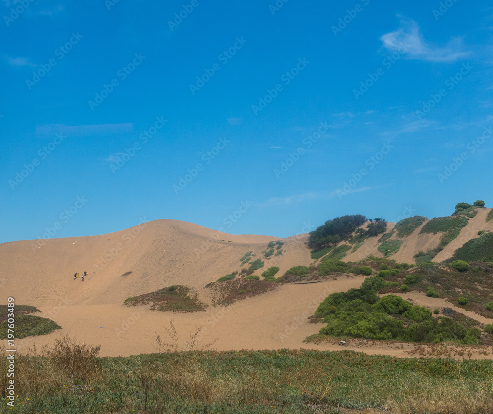 Gigant sand dune in Valparaiso bay. The famous dunes of the city of Concon on the coast of the Pacific Ocean, in Chile.