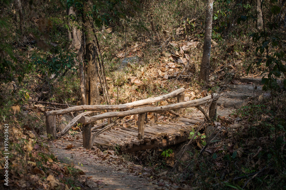 old wooden bridge across canal in Mae Sa waterfall in Doi Suthep and Doi Pui national park,Chiang Mai,Thailand old wooden bridge across canal in Mae Sa waterfall in Doi Suthep and Doi Pui national park,Chiang Mai,Thailand