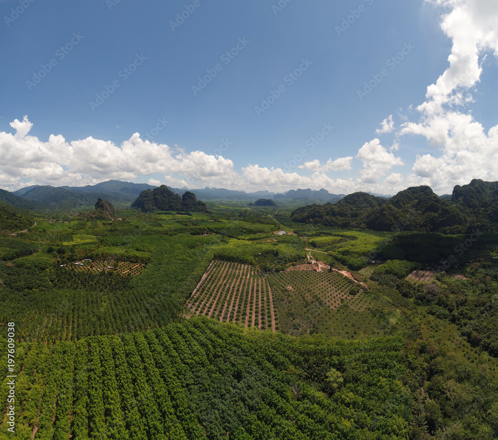 Aerial view of tropical green rain forest landscape in Thailand during sunny summer day