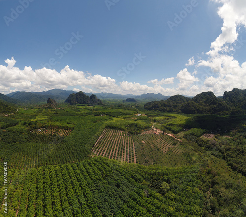 Aerial view of tropical green rain forest landscape in Thailand during sunny summer day
