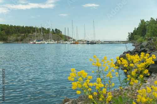 Boats and yachts in the harbour seen from the Vallisaari island on a bright summer day in Southern Finland photo