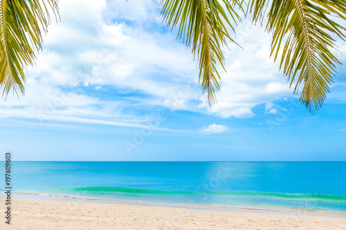 summer beach with palm trees on blue sky