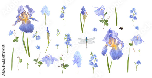 Blue flower set