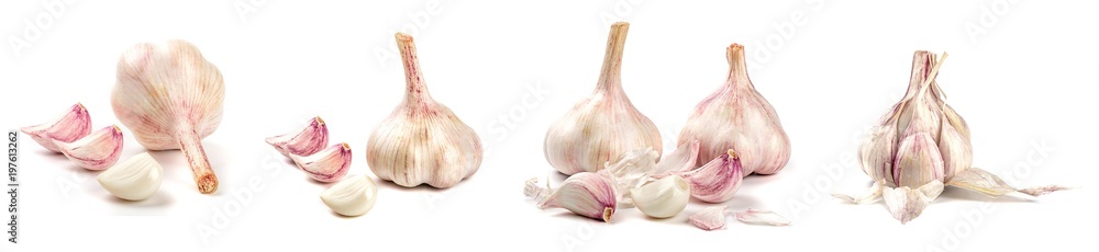 Obraz premium Collection of fresh garlic isolated on white