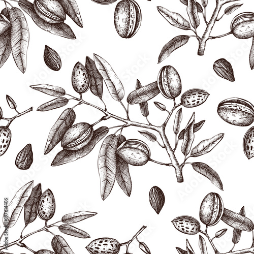 Vector Almond background. Hand drawn  nut tree sketch. Botanical seamless pattern. Vintage tonic plant drawing.
