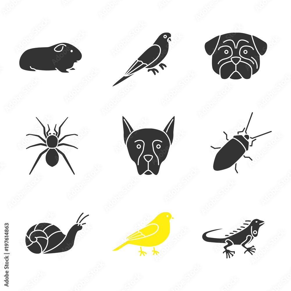 Obraz premium Pets glyph icons set