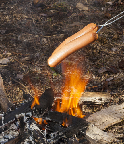 Photography Campfire hot dogs
