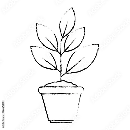 house plant in pot ecology icon vector illustration design