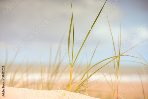 Fototapeta Naklejka Na Ścianę i Meble -  plage sous le soleil
