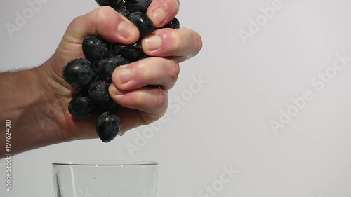 Crush purple grapes in hand on white background
