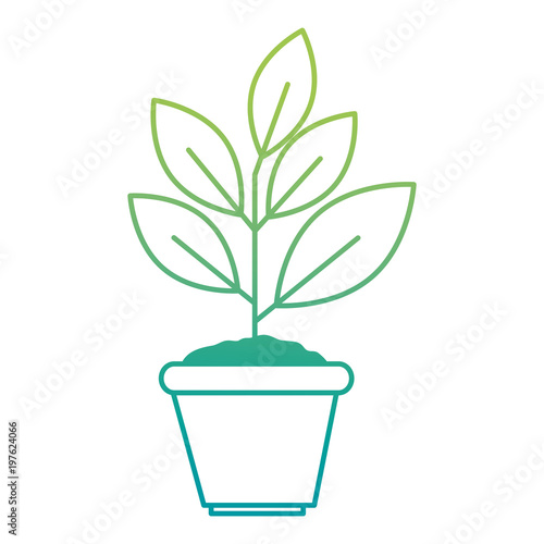 house plant in pot ecology icon vector illustration design