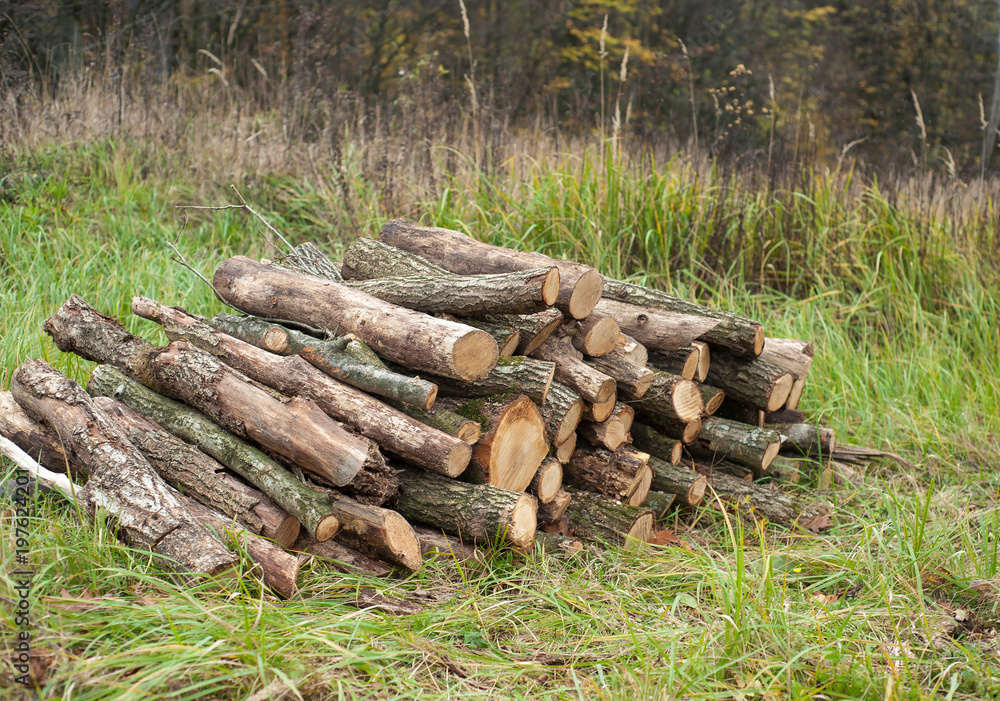 Freshly cut tree logs piled up on the green grass. Logs felled into one pile. Freshly cut tree logs piled up on the green grass. Logs felled into one pile.