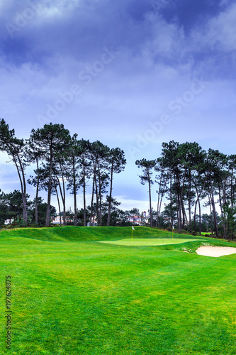 a fragment golf course with flagsticks at holes in the pine forest