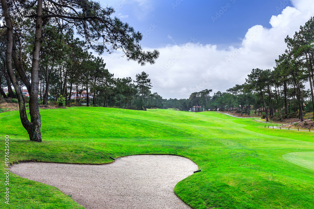 a fragment golf course with sand bunker in the pine forest a fragment golf course with sand bunker in the pine forest