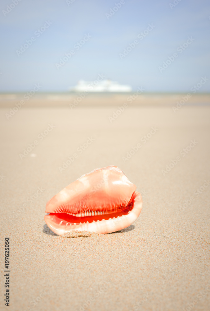 plage paradisiaque plage paradisiaque
