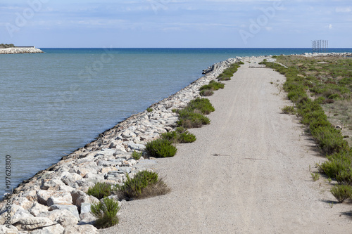 Landscape, Llobregat delta, natural area, river mouth, El Prat de Llobregat, province Barcelona,Catalonia, Spain.