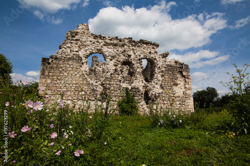 Ruins of the castle of the Knights Templar order (XIV century) Serednie village, Transcarpathian region photo