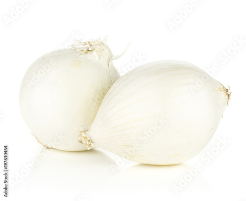 White onion two shiny pearls isolated on white background.