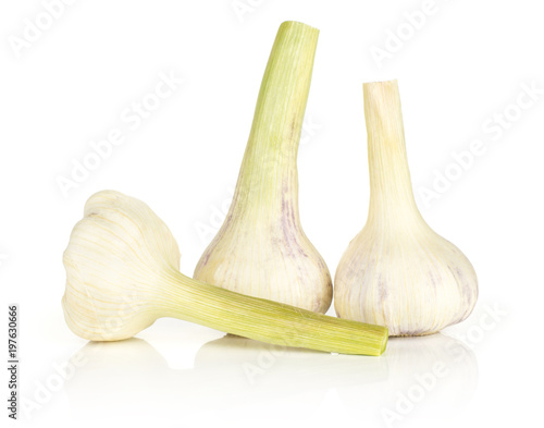 Three young garlic bulbs with green stems isolated on white background.
