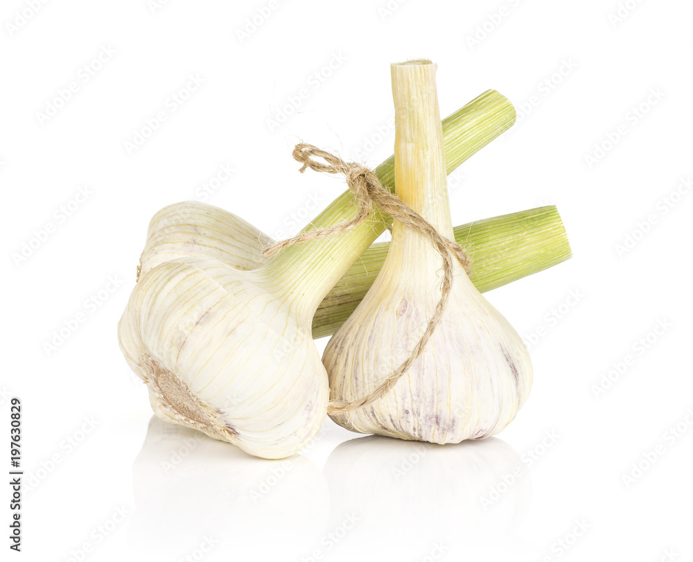 Obraz premium Three young garlic bulbs tied by burlap rope isolated on white background.