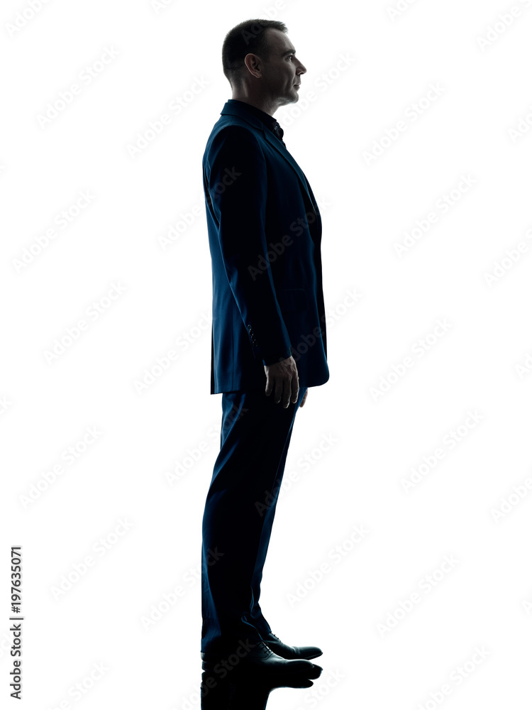 one caucasian business man standing silhouette isolated on white background one caucasian business man standing silhouette isolated on white background