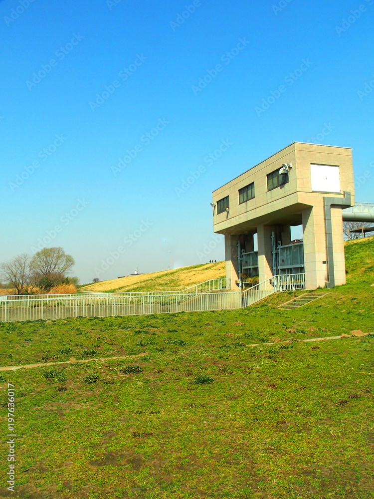 Fototapeta premium 水門のある江戸川河川敷風景