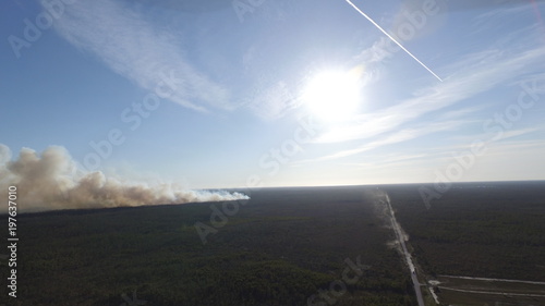 Picayune Strand State Forest brushfire