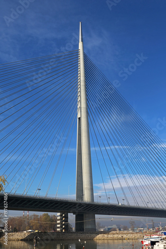 Pylon Bridge Belgrade