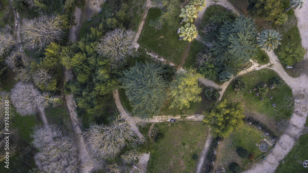 View, large aerial, garden, Villa Sciarra ,, urbane, Rome, Italy, park, hill, Gianicolo, Trastevere, Monteverde View, large aerial, garden, Villa Sciarra ,, urbane, Rome, Italy, park, hill, Gianicolo, Trastevere, Monteverde