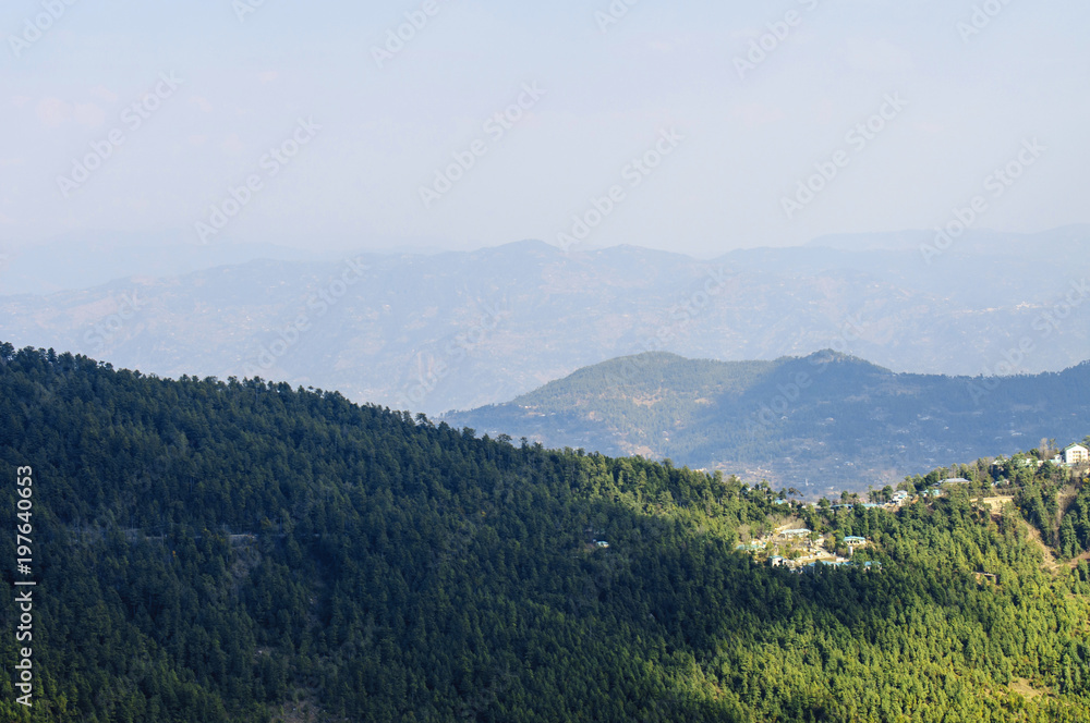 A smoky mountains and forest