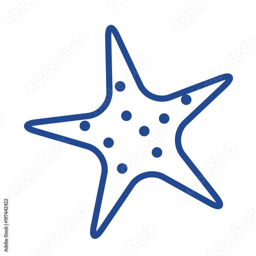 Seestern Vector Icon