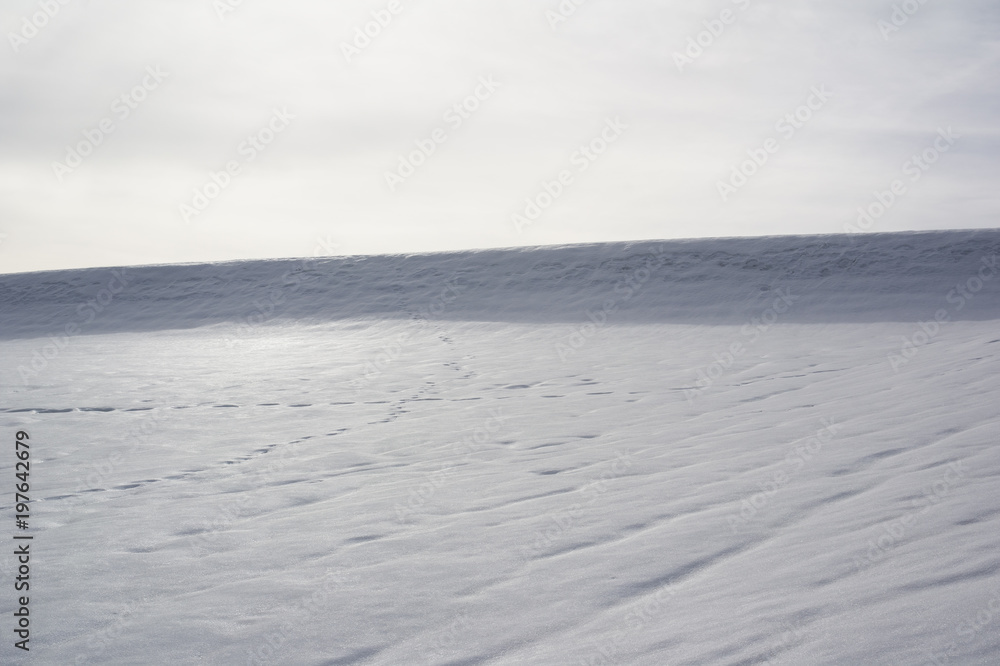 Fototapeta premium Minimalist snowy nature at winter. Plain is covered by snow.