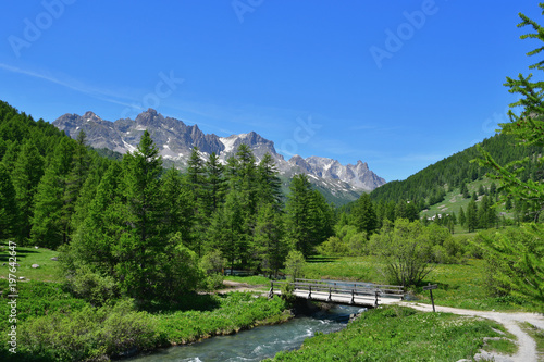 Petit pont en bois dans la vallée de la Clarée
