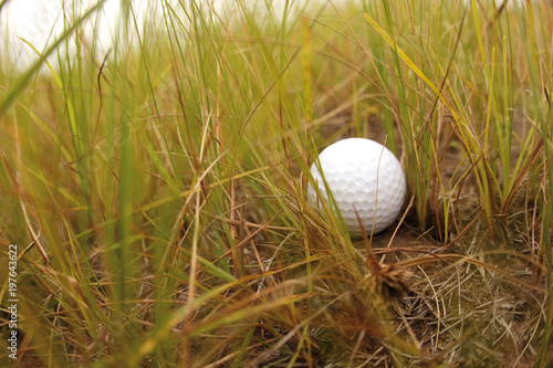 Golf ball in the rough