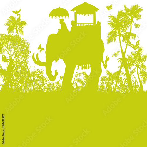Elefant im grünen Urwald
