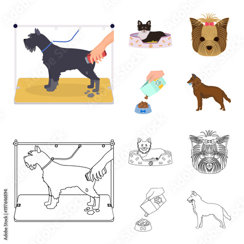 A dog in a lounger , a muzzle of a pet, a bowl with a feed, a sheepdog with a ball in his teeth. Pet ,dog care set collection icons in cartoon,outline style vector symbol stock illustration web.