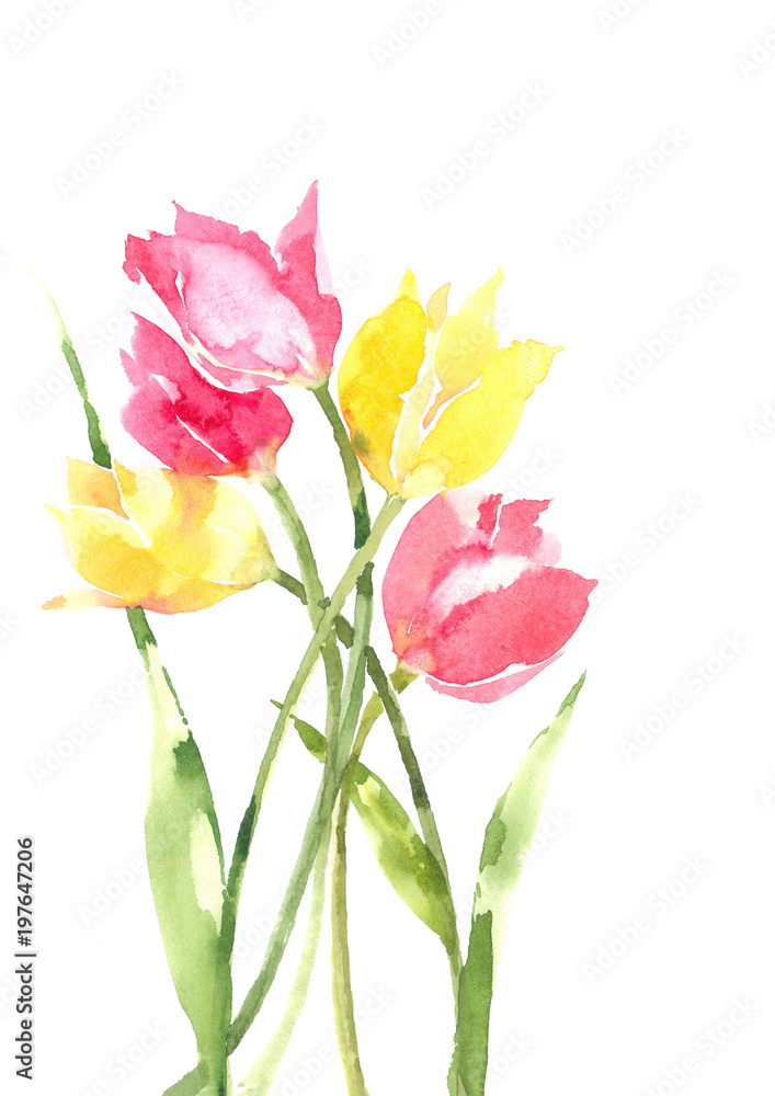 Bouquet of yellow and pink tulips. Spring flowers. Flower mood. Watercolor background. Bouquet of yellow and pink tulips. Spring flowers. Flower mood. Watercolor background.