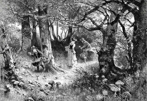 Familie beim Pilze sammeln im Wald