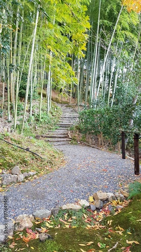 Beautiful path in the autumn season