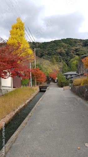 Beautiful path in the autumn season