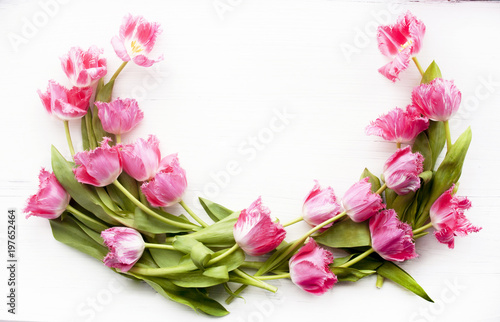Розовые тюльпаны на белом фоне