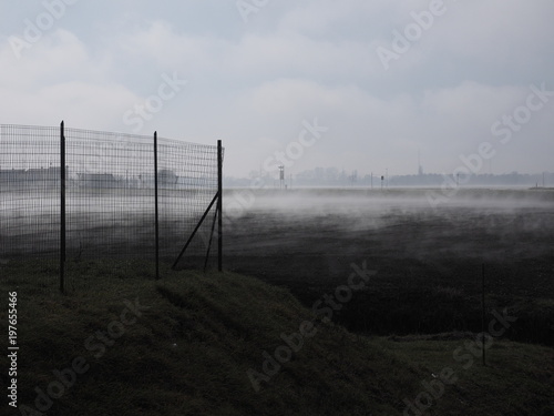  Italy, countryside landscape with fog.
