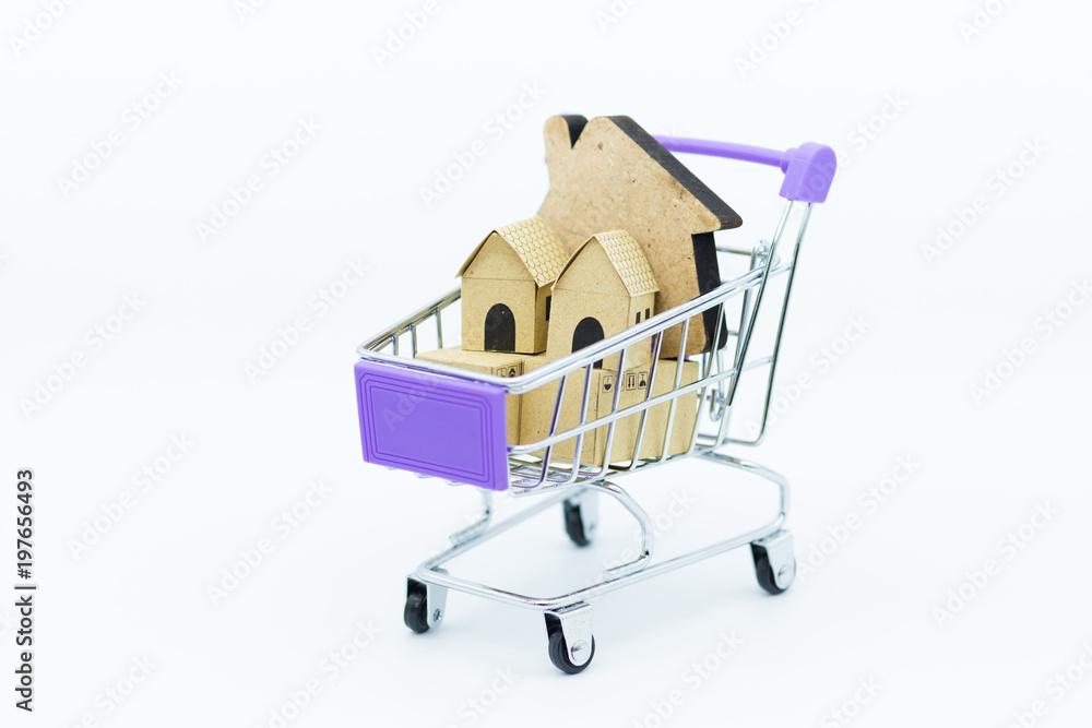 shopping cart with home.  Image use for Business consultants on financial transactions for home loan.
