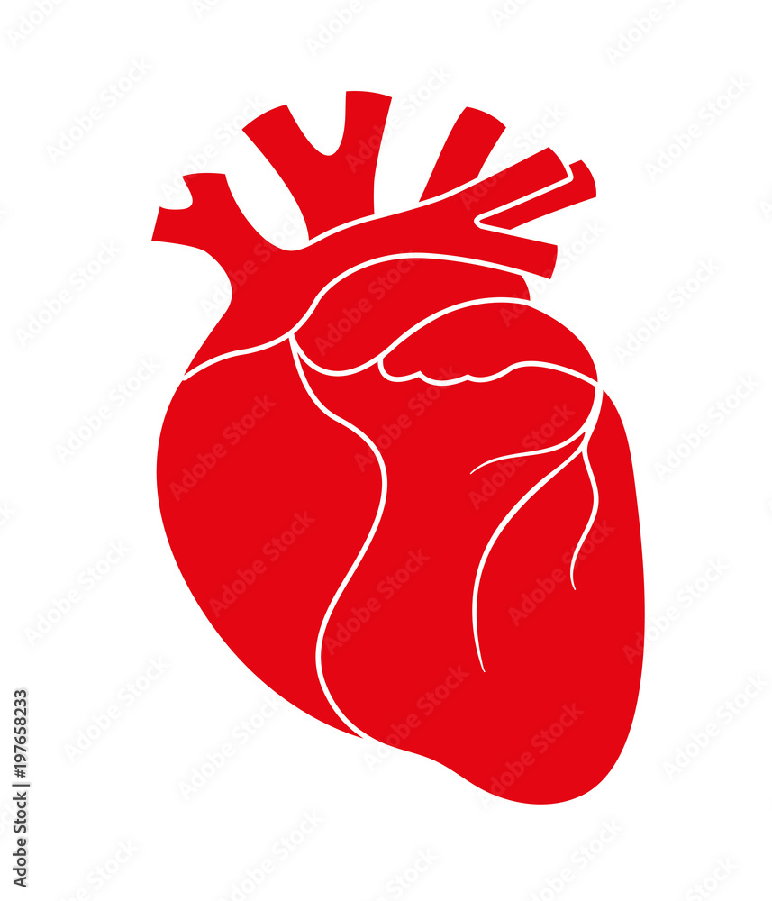 Human red heart icon Human red heart icon