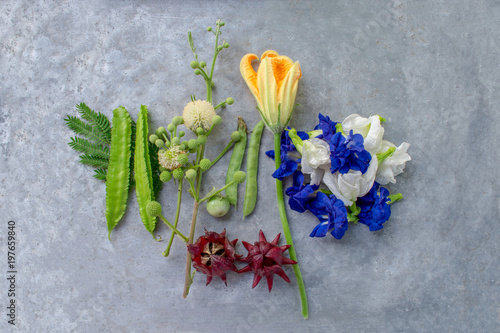 Pea flowers,Roselle,Turkey Berry,winged Bean,Pumpkin,Neptunia oleracea Lour On a metal tray. The vegetables and herbs are Popular grown in Thailand. photo