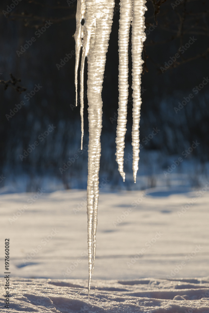 Icecicles on a dark background. Icecicles on a dark background.